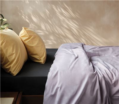 Çarçafë me llastik Tek 100% Pambuk 140X200+30 BASIC