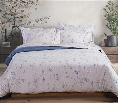 SET ÇARÇAFËSH QUEEN SIZE DESIROUS 240X270
