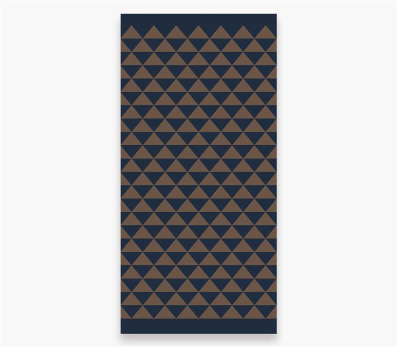 Peshqir Plazhi POINTING 80x160