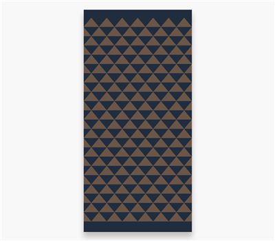 Peshqir Plazhi POINTING 80x160